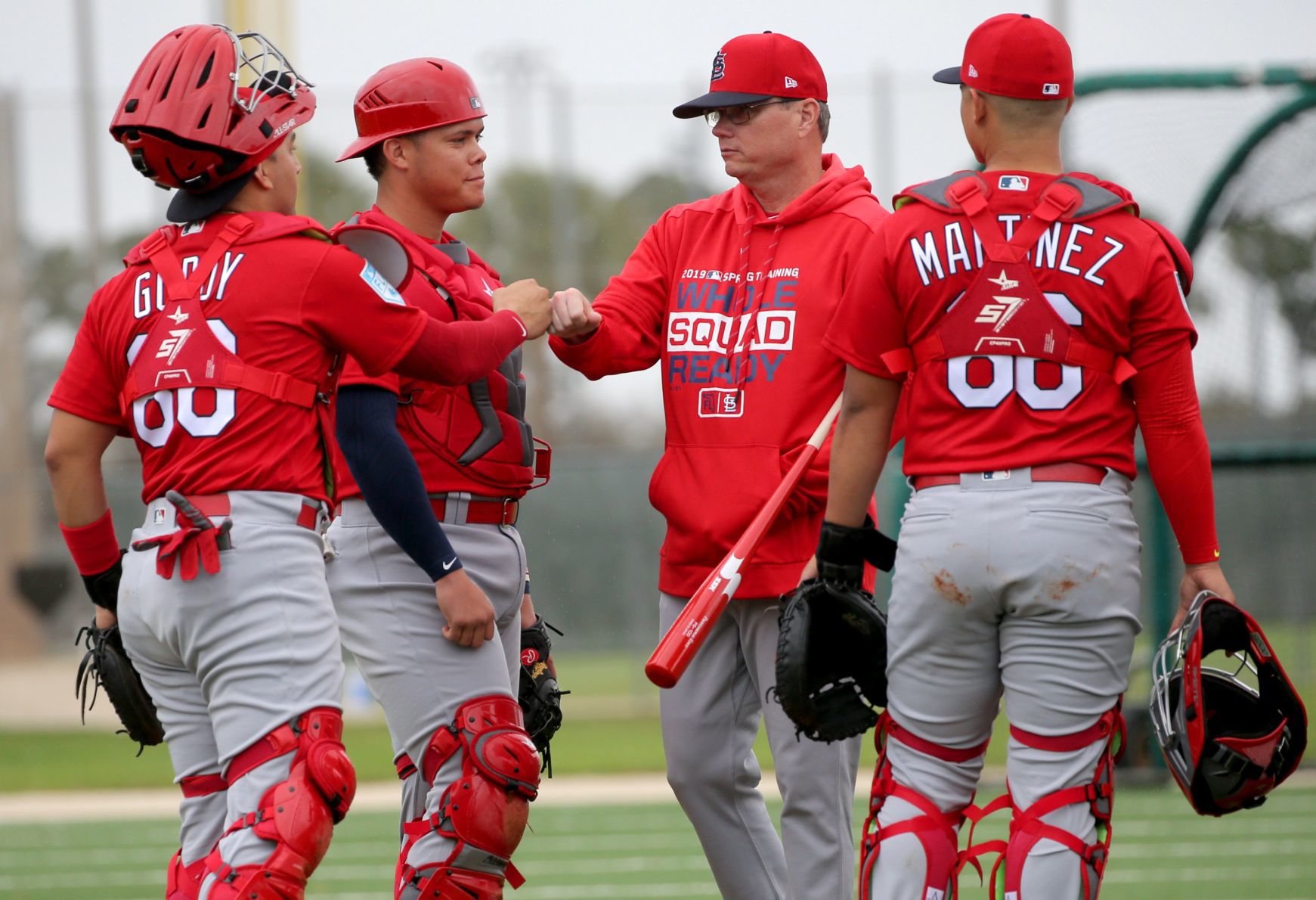 Cardinals spring training